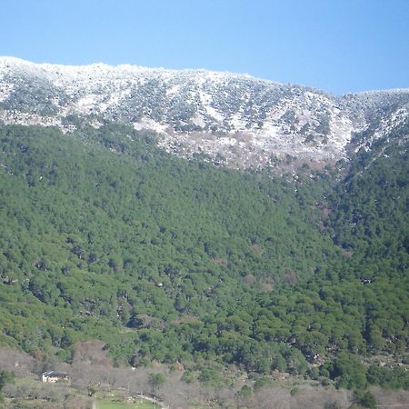 Edificio Reyes Daire La Adrada Dış mekan fotoğraf