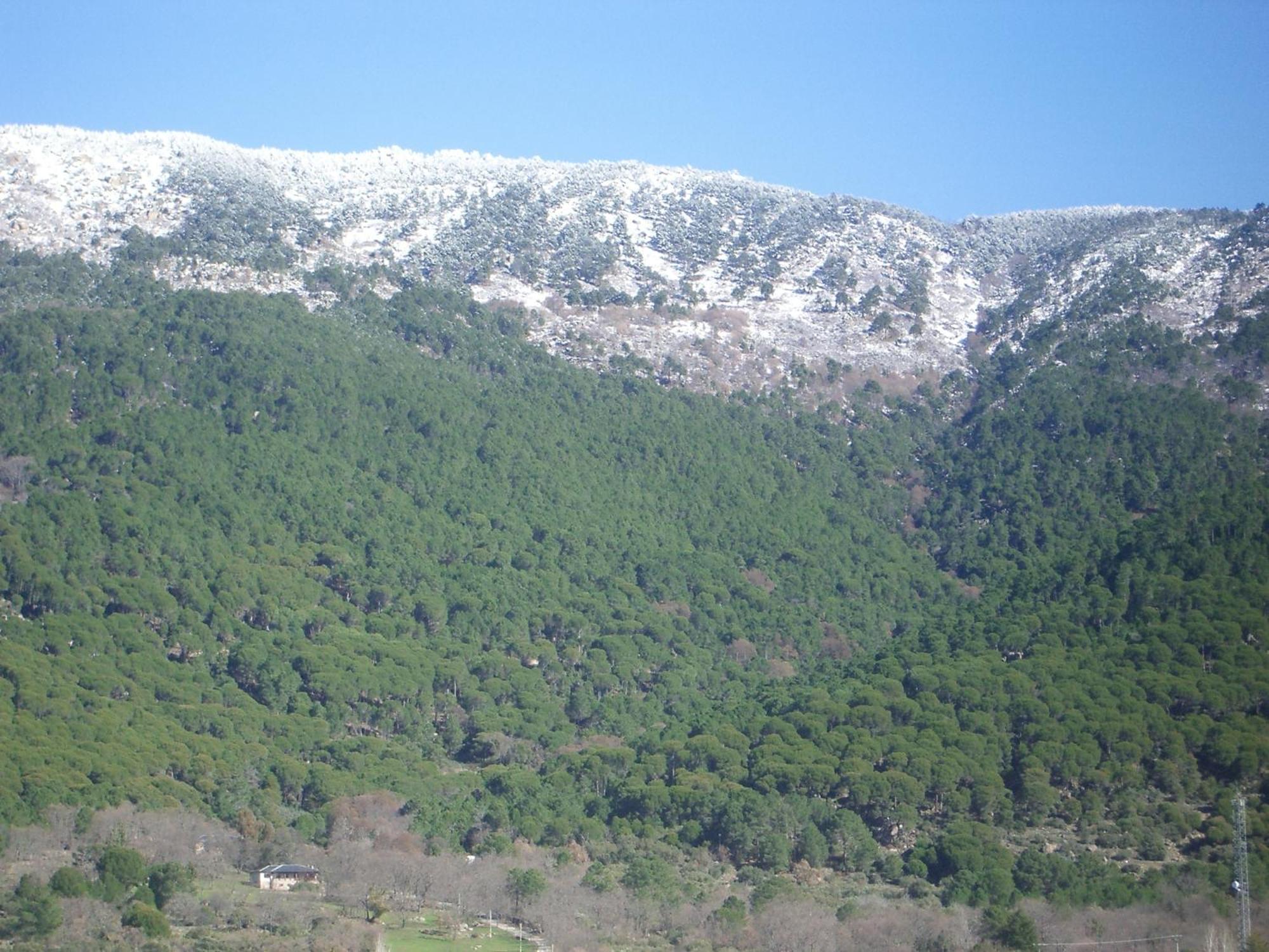 Edificio Reyes Daire La Adrada Dış mekan fotoğraf